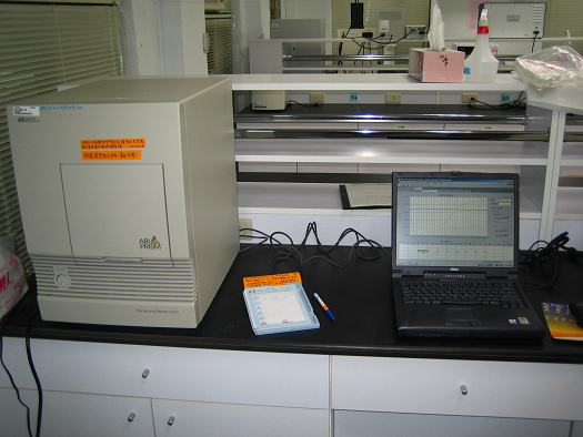 圖1　real-time PCR系統包括電腦、PCR機器及光學偵測系統 