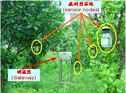圖4 生態監測網路之實體照片