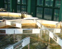 圖4 養魚池的RFID天線配置