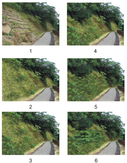 圖4　景觀模擬實際操作
