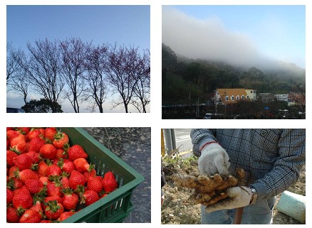 130線地區四時美景變化，農產豐富