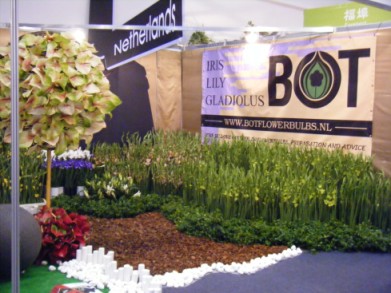 荷蘭球根花卉公司形象展示實景