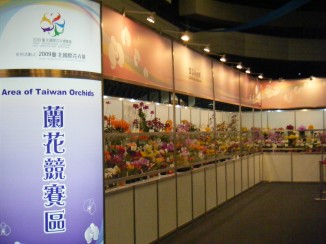 蘭花競賽區實景
