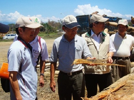 陳主委武雄(中)8月11日視察台東富岡漁港漂流木處理情形(吳昌祐提供)