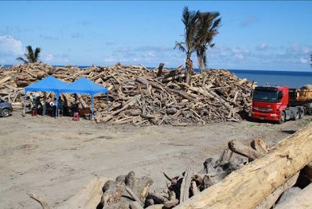 台東漂流木清運集中場址(林奐宇提供)