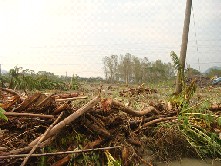 圖5高雄獅子頭圳二幹分線遭土砂漂流木掩埋