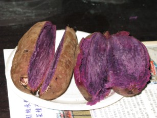 甘藷花蓮１號適合炭烤或加工用