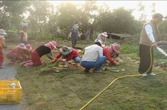 圖6 自己整理社區的空間