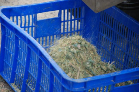 圖3　粉碎後之碎屑排出至盛裝容器