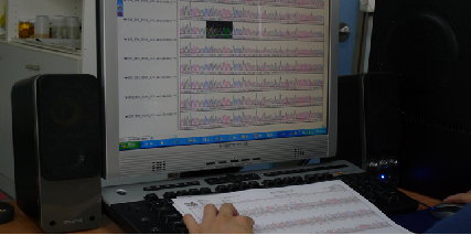 圖4 利用軟體進行DNA序列資料的整理及分析