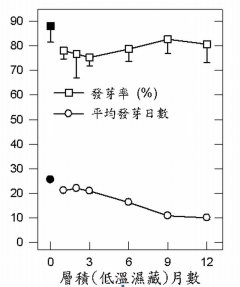 圖4 不同儲藏溫度（-20℃、4℃與15℃）對第1批種子發芽率之影響。○：含水率5.6±0.2%、□：含水率8.7±0.2%、△：含水率11.8±0.4%、▽：含水率14.6±0.5%、◆為新鮮種子之發芽率