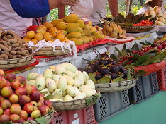 圖說 食的多樣化是營養均衡及身體健康的主要原因
