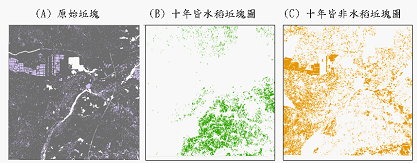 圖2 原始坵塊及自動化抽取訓練樣區示意圖