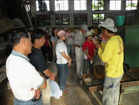 解說員帶領大家到茶行參觀製茶