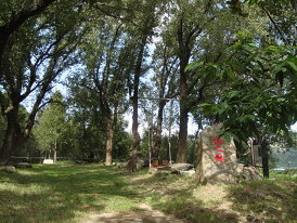 楓樹林是幻想中才可能出現的戶外教室