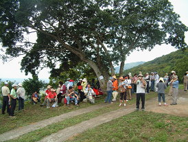 青青草原邊的大樹是旅人歇息的最佳場所