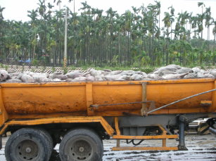 屏東九如鄉的集運車.