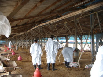 處理死廢雞鴨魚肉的工作雖然迥異於料理桌上佳餚，當中卻蘊含著隨機應變的智慧，以及保全公眾健康的美好滋味