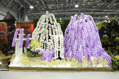 圖5 在爭艷館內有22國30城市36機構參加國際室內花藝競賽，台灣科隆國際生物科技股份有限公司設計之「龍．蝶」榮獲蘭花類－特別榮譽獎