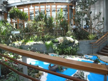 圖6 「未來館」面積約5,000平方公尺，館內集結1,700種，3萬株國內特有植栽，圖為多肉植物區