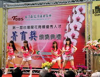 圖5 穿插花博舞表演