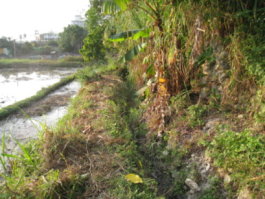 圖 3 南投農田水利會生蕃空排水改善工程。施工前（上）、施工後（下） 