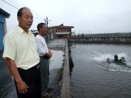 圖6 黃再團（右）和李福成望著復養的魚塭，內心諸多感慨