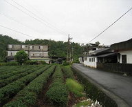 圖2、圖3 聚落景觀