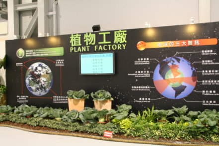 未來作物生產趨勢—植物工廠