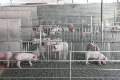 屏東縣離乳保育舍改善情形