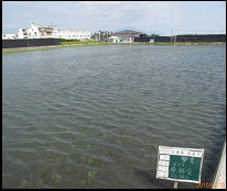 圖8　台東縣台東市蓄水情形