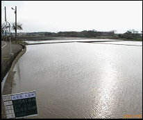 圖9 桃園縣大園鄉蓄水情形