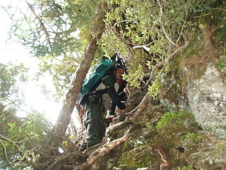翻山越嶺，人跡罕至，進行貴重木的清查工作 