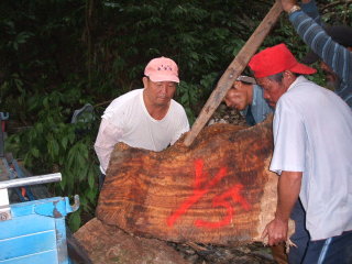 縱使取締工作艱苦危險，「意義」是他們的堅持 