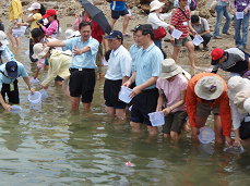 圖6 放流魚苗增育漁業資源