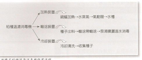 圖1 連續式稻種溫湯消毒機作業流程