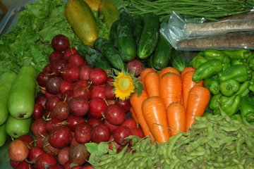 設置大面積有機農業專區，可避免鄰田污染，提高經營效率