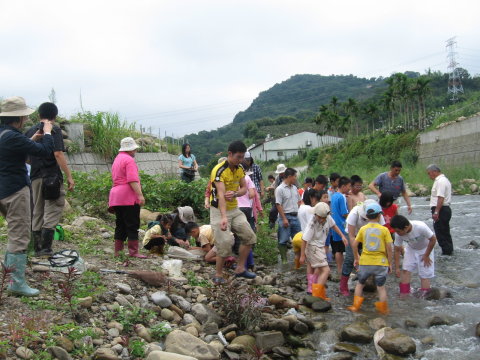 04認識石角河豐富的生態