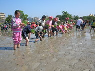 圖3 辦理學童水稻插秧體驗活動（照片草屯鎮農會提供）
