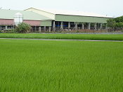 圖3  畜牧廢水處理好，農作生長沒煩惱，環境污染亦減少