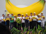 01 主委扮成蕉農，向民眾大力推薦台灣香蕉