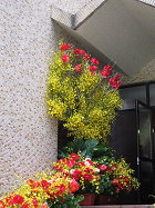 03 文德女中會場布置美麗的花牆