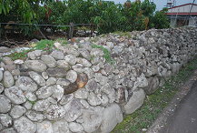 利用力學結構的百年石牆