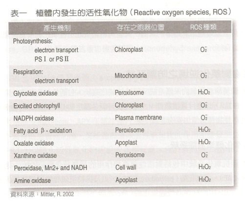 表1 植體內發生的活性氧化物(Reactive oxygen species, ROS)