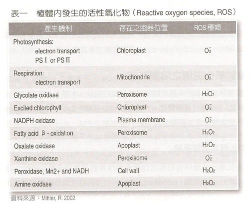 表1 植體內發生的活性氧化物（Reactive oxygen species, ROS）