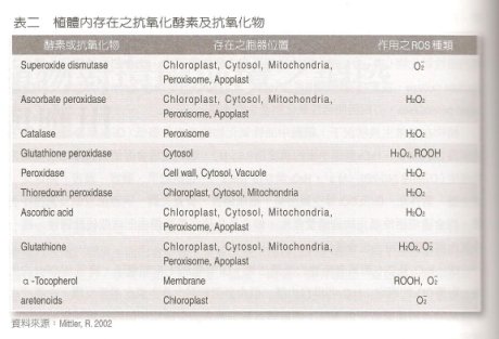 表2   植體內存在之抗氧化酵素及抗氧化物