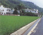 重劃後每個坵塊均有水路可供灌溉排水