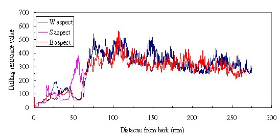 圖 1 應用鑽孔抵抗儀檢測台北植物園中，受感染褐根病菌掌葉蘋婆的樹幹鑽孔抵抗圖譜（地基高度，西、南及東面三個方位），平均橫向鑽孔抵抗值為 222.8 ，距樹皮側 50cm 範圍內的平均橫向鑽孔抵抗值為 81.1 ，相對於參考值的平均橫向鑽孔抵抗值折減率為 27.6% ，折減區域接近樹皮及土壤部位的木材為主 