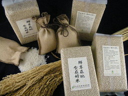 創新米食新價值研製出「TN-P85糙米鬆餅預拌粉」