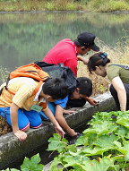 02 員山生態教育館帶著小朋友們認識水圳裡的神秘生物 